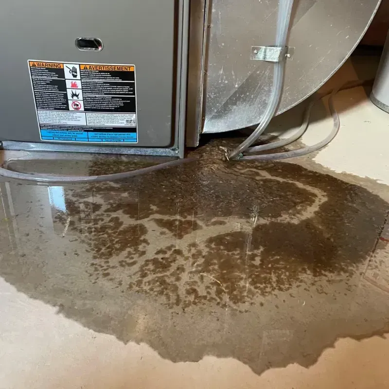 Appliance Leak Cleanup in East Washington, PA